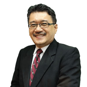 Professor Ir Dr Ahmad Kamil Arshad